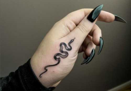 20 Masterful Snake Tattoos Drawing Concepts