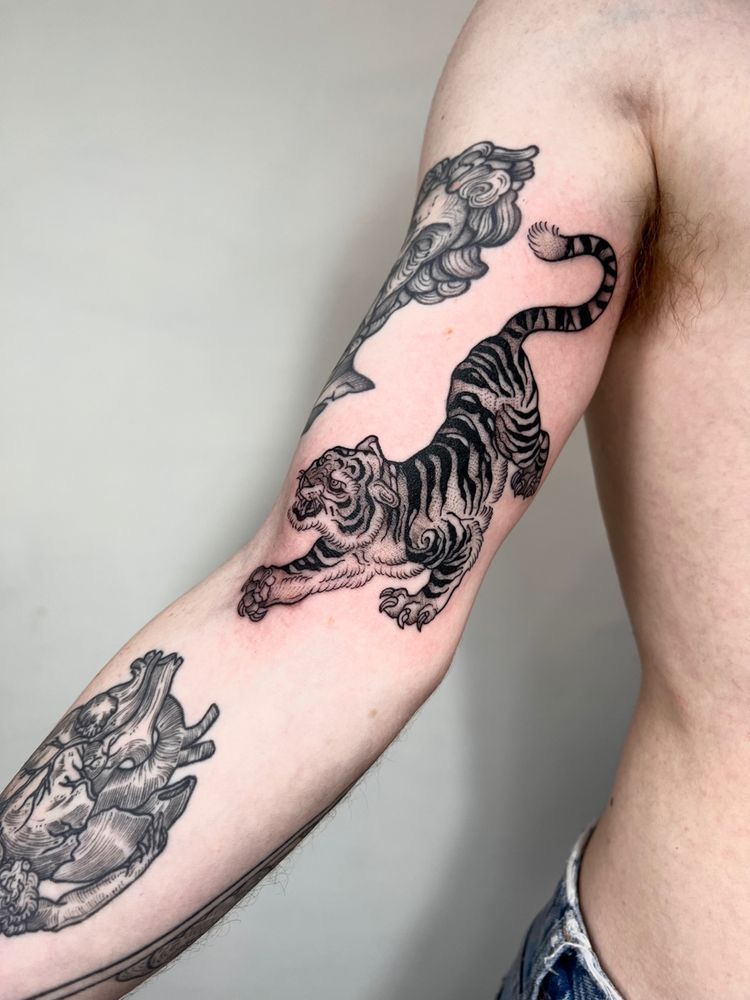 Japanese Tiger Tattoos Traditional Designs, Sleeves, Chest & Arm Ideas