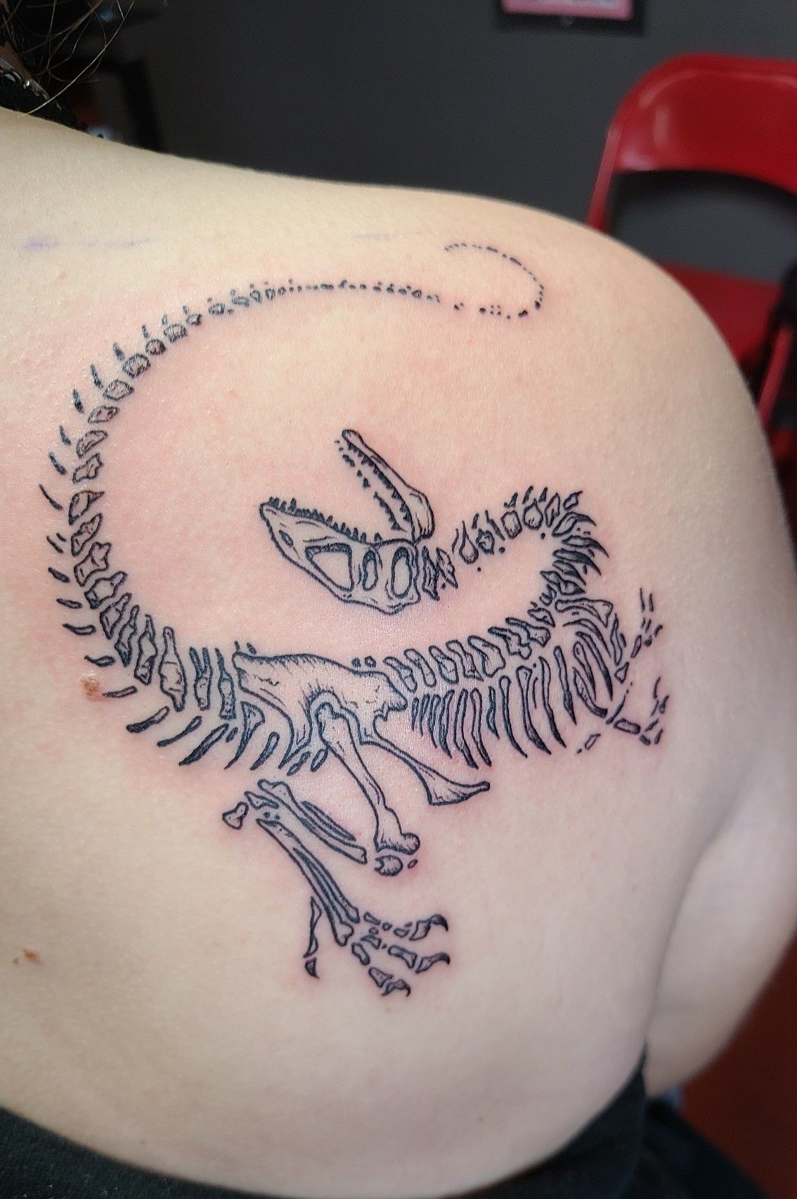 29 Dinosaur Tattoo Ideas Cute, Sleeve, Realistic, Fine Line, Flash, Neo Traditional, And More