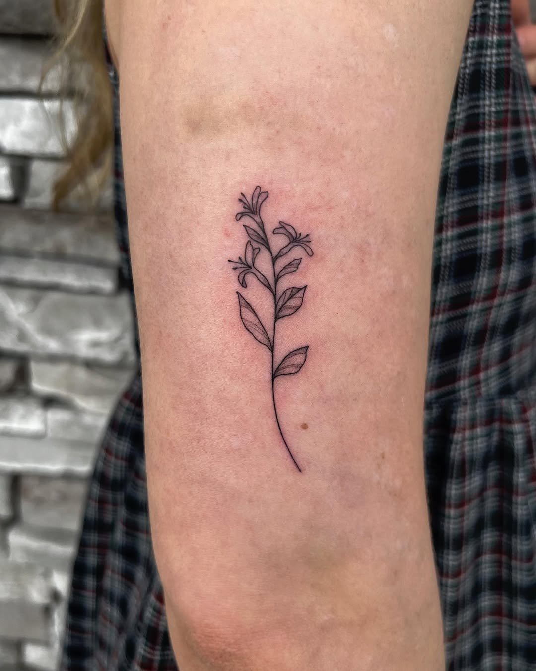 29 Honeysuckle Tattoo Ideas with Fine Line, Neo Traditional, Coral, and American Traditional Designs