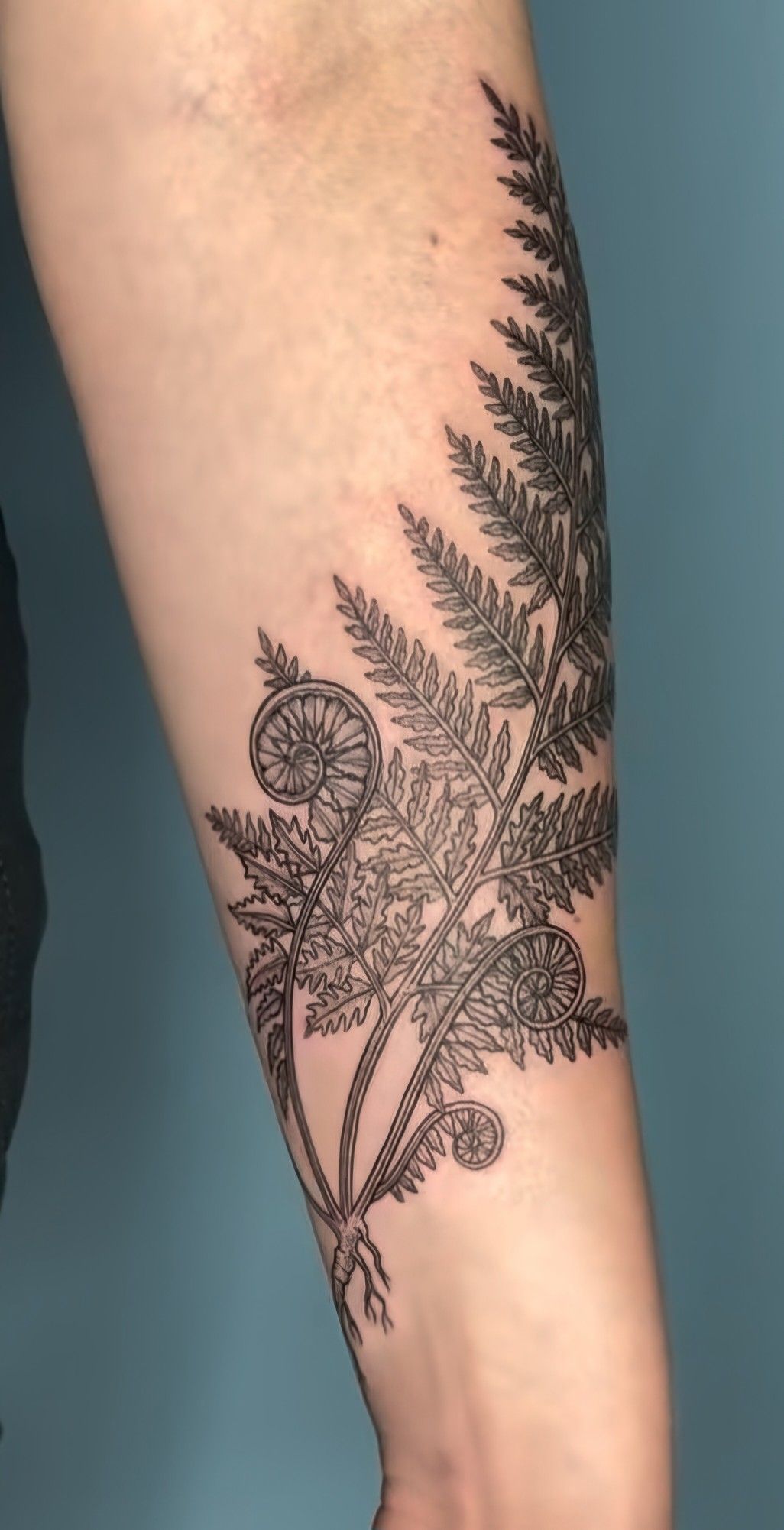 29 Fern Tattoo Ideas: Nature s Most Elegant Lines, From Shoulder Fronds to Hip Vines