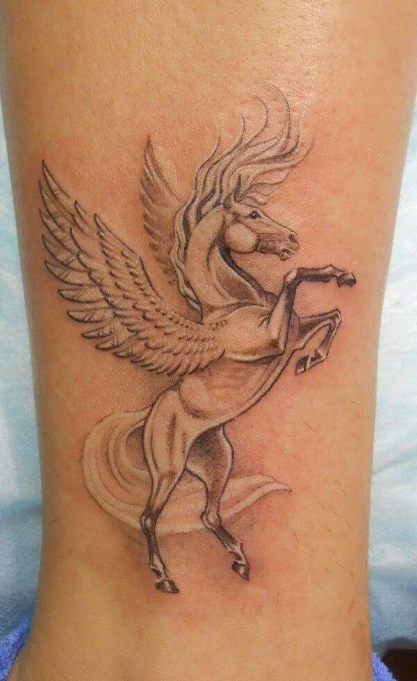 27 Horse Tattoo Ideas: Styles, Meanings, and Real-World Tips from the Studio