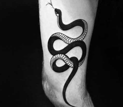 22 Top Snake Tattoo Ideas for the Ultimate Expression