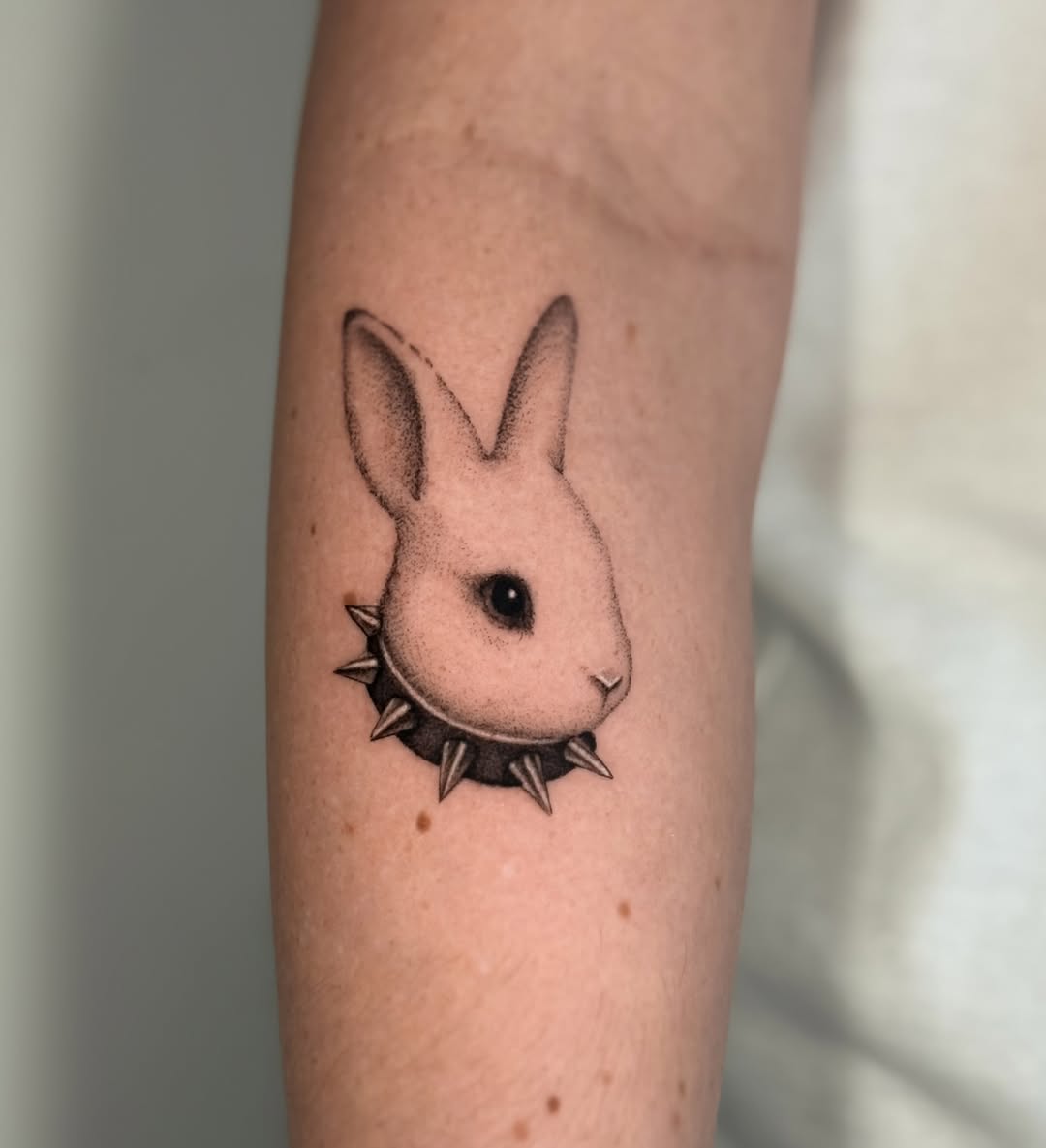 32 Rabbit Tattoo Ideas: from whisper-fine bunnies to mythic hares
