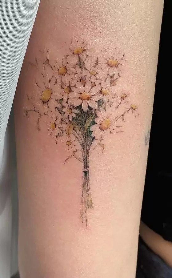 25 Daisy Tattoo Ideas with Fine Line, Watercolor, Minimalist, Stencil, Traditional & Dainty Designs