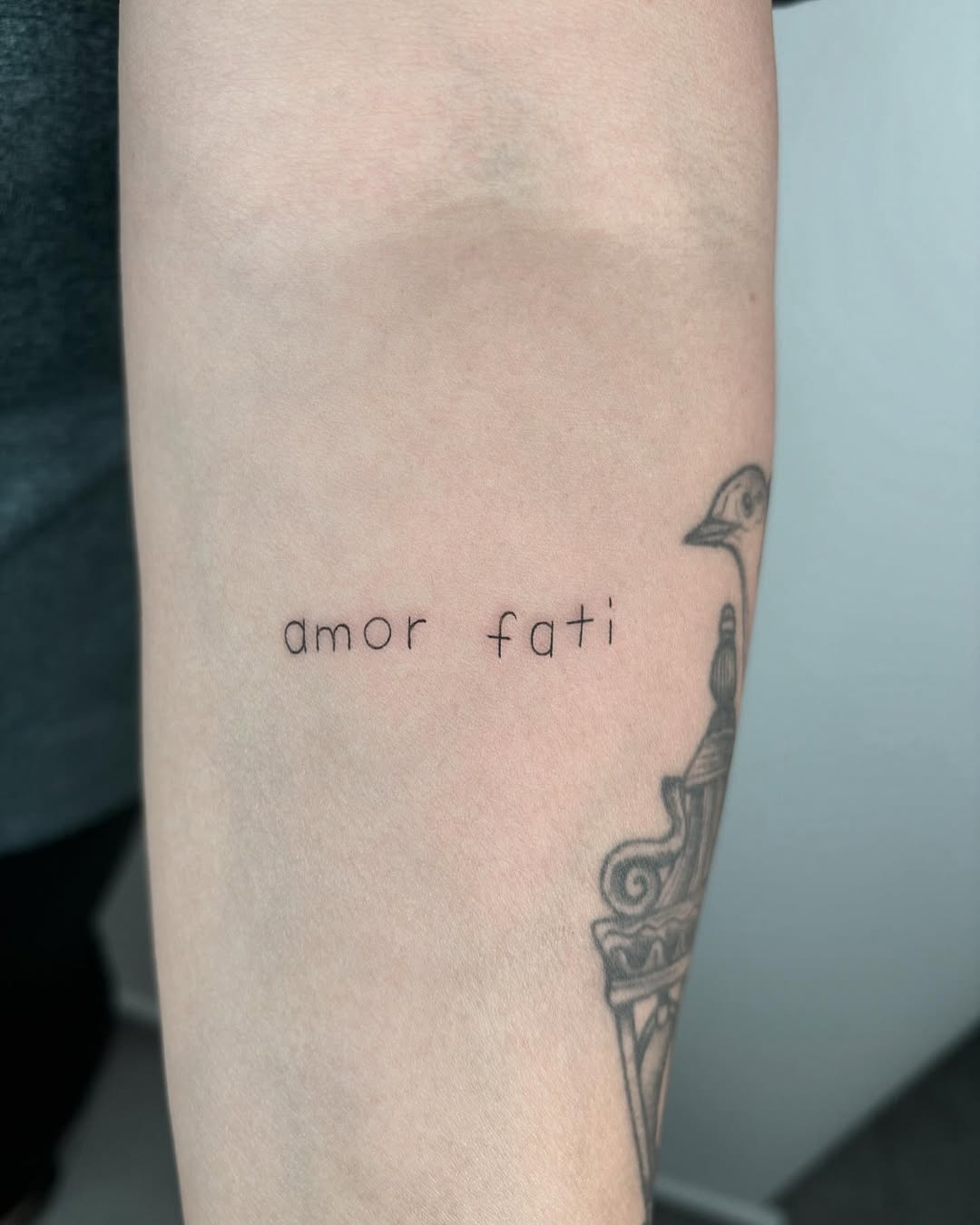 25 Amor Fati Tattoo Ideas Unique Designs, Fonts, and Placement Inspiration for Men & Women