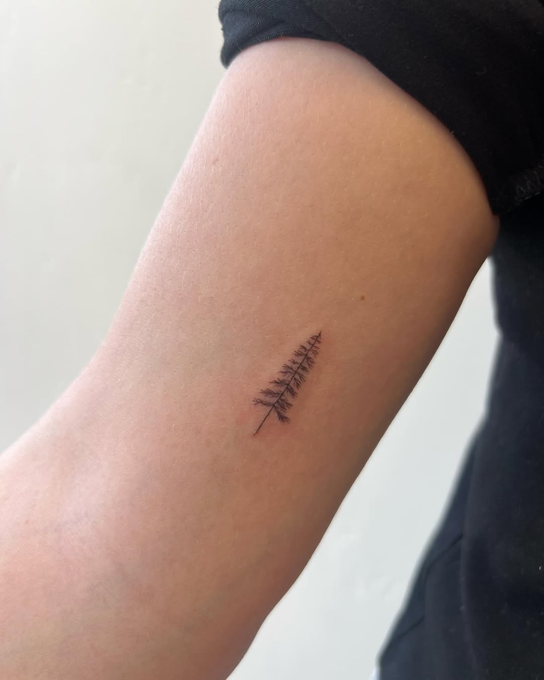 30 Pine Tree Tattoo Ideas: Quiet Symbols of Resilience, Place, and Peace