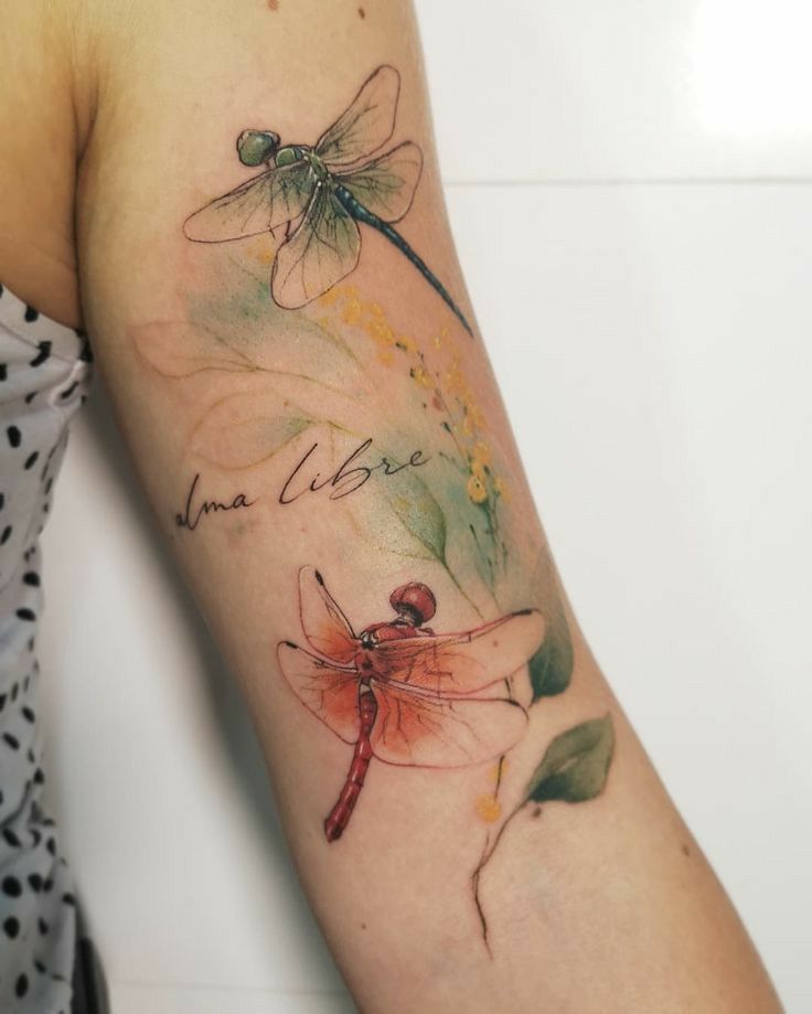 28 Ideas Dragonfly Tattoo : Designs That Soar with Style, Meaning & Personality