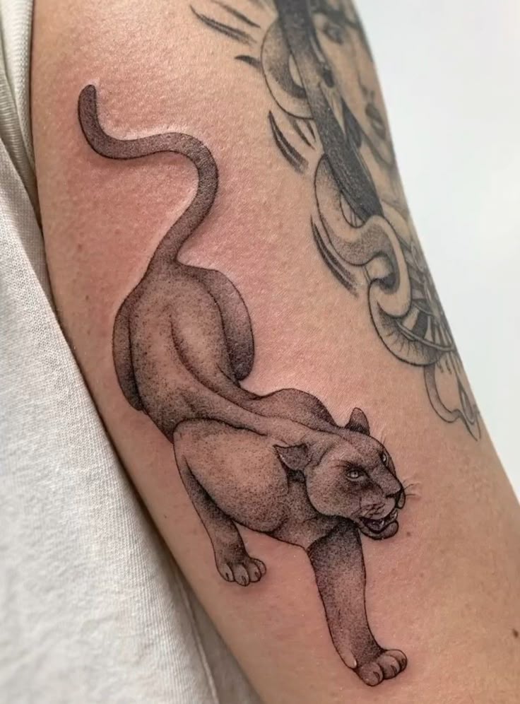 30 Panther Tattoo Ideas for Men and Women Traditional, Neo Traditional, Pink, Black Ink