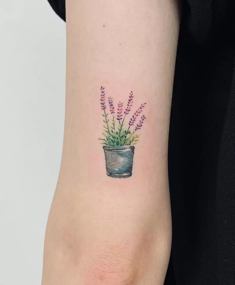 27 Lavender Tattoo Ideas : Fine Line, Bee, Rosemary, Black and Grey, Minimalist, Men and Women