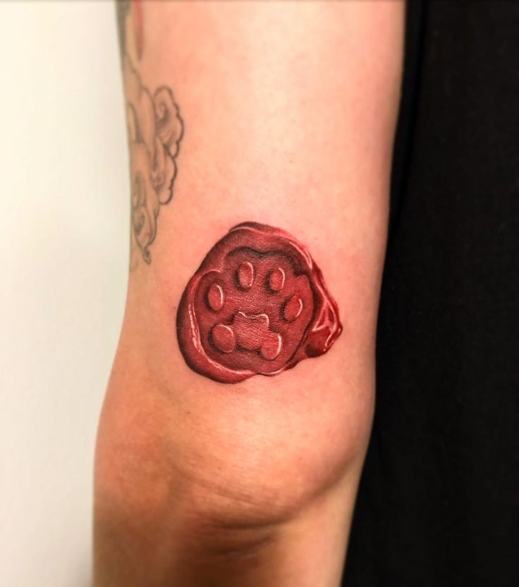 28 Paw Print Tattoo Ideas for Dog & Cat Lovers Memorial, Floral, Watercolor, Fine Line