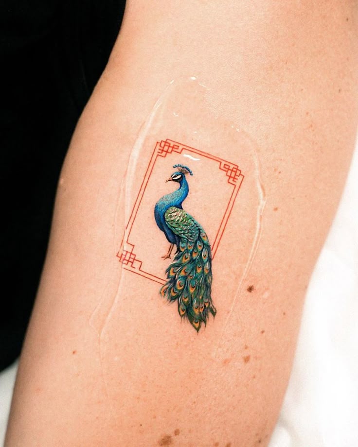 The Symbolic Splendor of Peacock Tattoos: Powerful Designs That Speak for Themselves