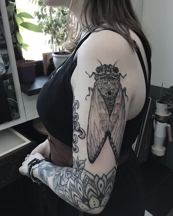 29 Cicada Tattoo Ideas: From Simple Linework to Lush Color