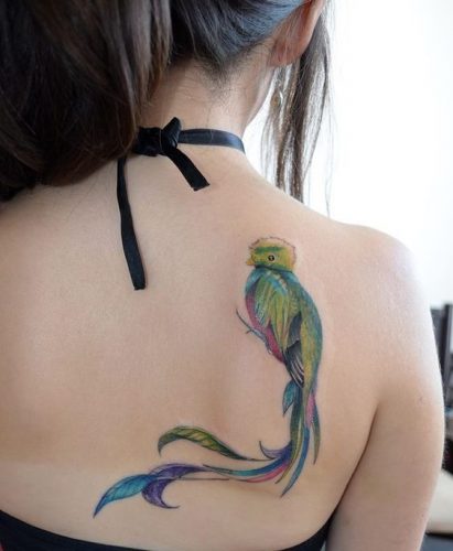 Explore 20 Captivating Quetzal Tattoo Designs for a Vibrant Ink Inspiration