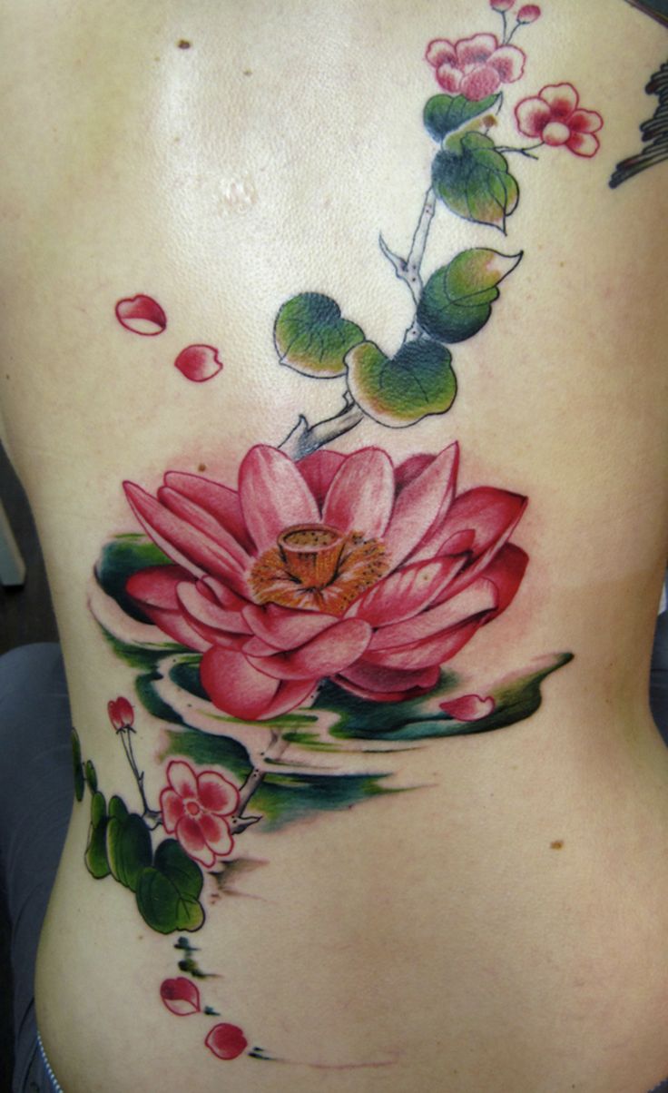 30 Creative Water Lily Tattoos for : Tattoos with Special Meanings