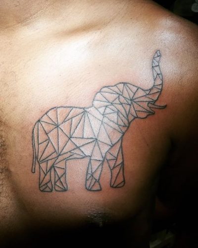 19 Elephant Tattoos with Raised Trunk Ideas