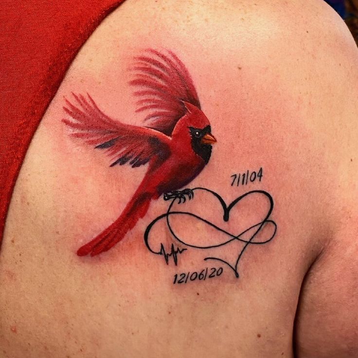 28 Cardinal Tattoo Ideas for Women and Men: Memorial, Fine Line, Stencil Outline, Small Flying