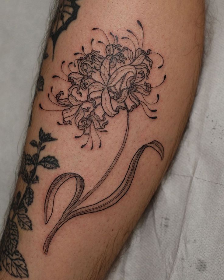 Spider Lily Tattoo 30 Ideas with Traditional Japanese Design, Arm Sleeve, Abstract Meaning
