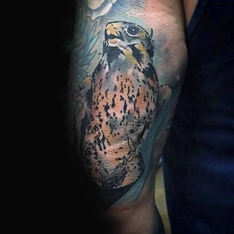 Take Flight: 20 Bird Tattoo Ideas for Men