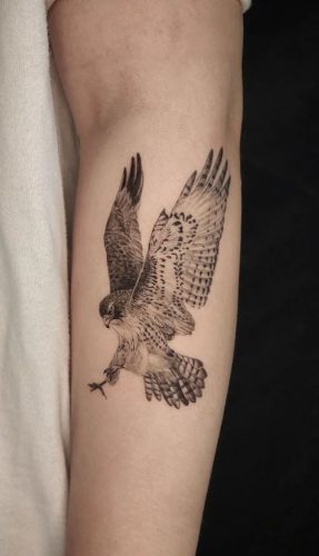 Discover 18 Hawk Tattoo Designs for : Symbolic Ink Ideas for Men and Women