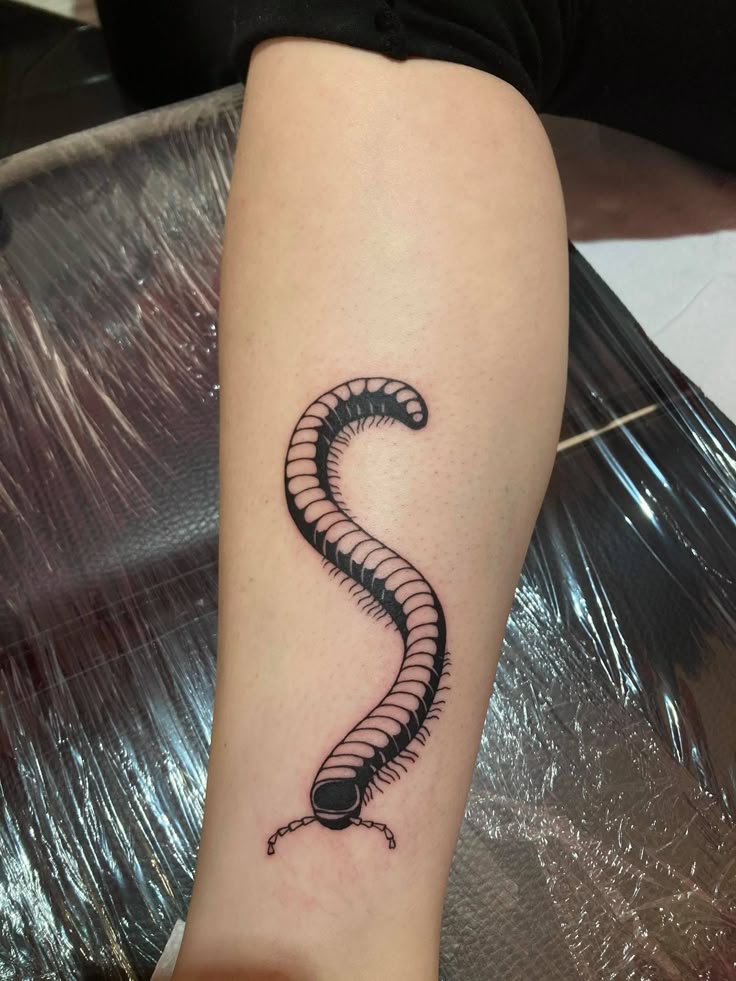 31 Centipede Tattoo Ideas : Blackwork, Traditional, Tokyo Ghoul, Spider Lily, Skull, Giant Back