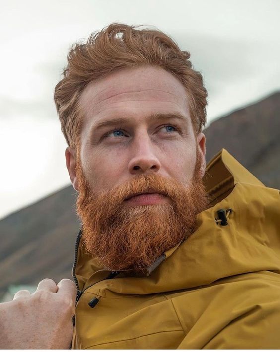 20 Fall Beard Ideas for : Styles, Trends, and Grooming Tips for Every Man