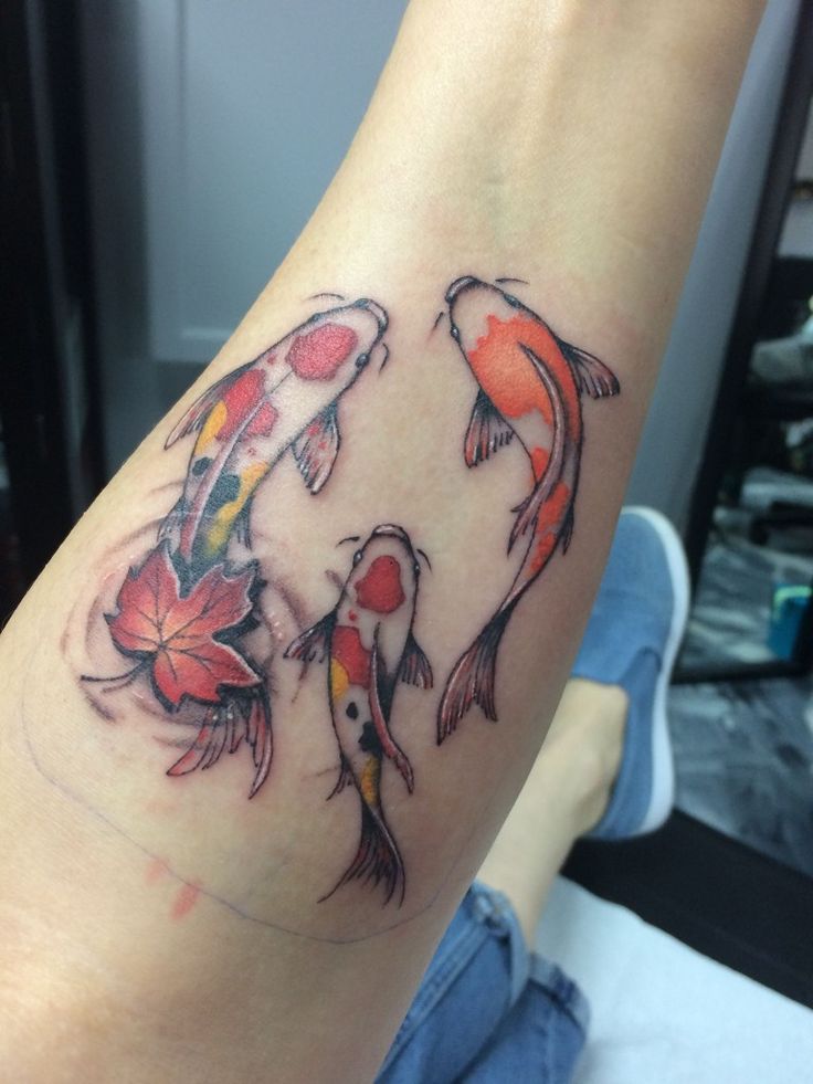 Explore 28 Unique Koi Fish Tattoo Ideas for : Minimalist, Japanese Style, Yin Yang, Fine Line