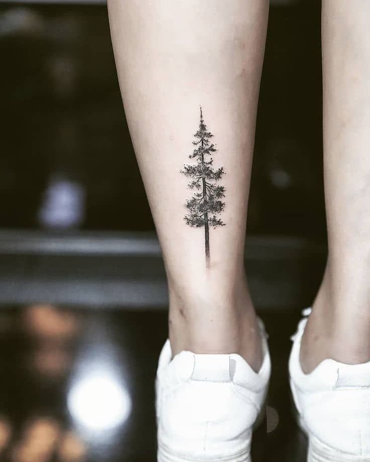 30 Pine Tree Tattoo Ideas: Quiet Symbols of Resilience, Place, and Peace