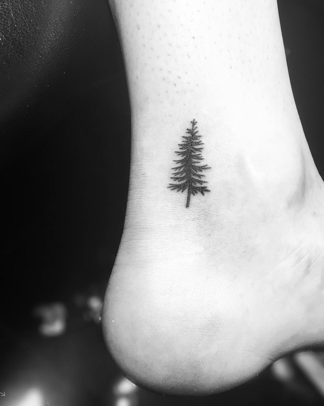 30 Pine Tree Tattoo Ideas: Quiet Symbols of Resilience, Place, and Peace