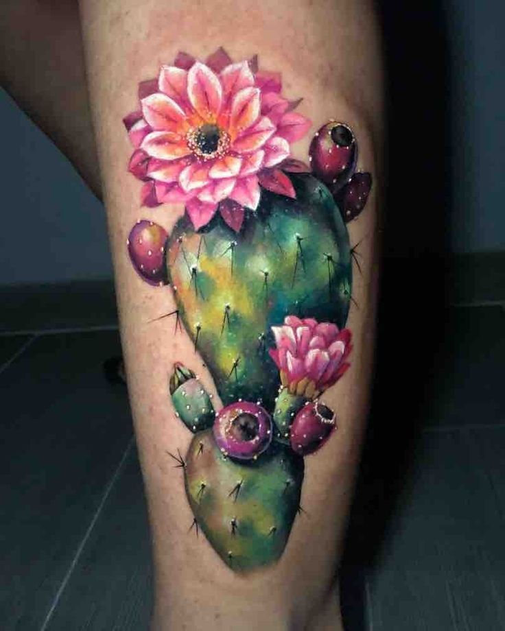 25 Cactus Tattoo Ideas : Creative, Minimalist, Traditional, and Realistic Designs for Women and Men