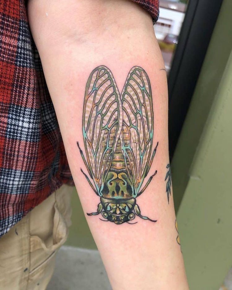 29 Cicada Tattoo Ideas: From Simple Linework to Lush Color