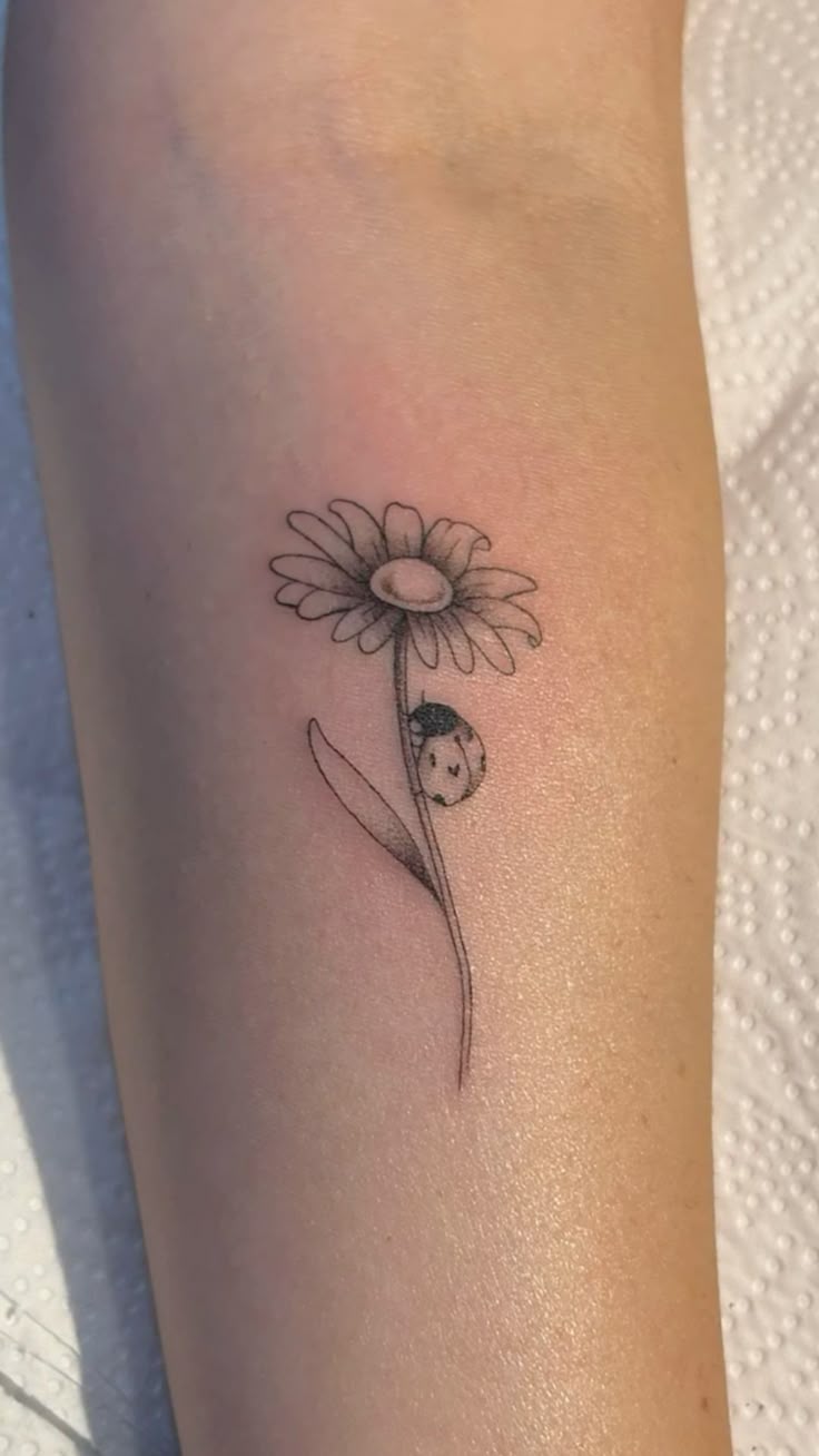 25 Daisy Tattoo Ideas with Fine Line, Watercolor, Minimalist, Stencil, Traditional & Dainty Designs