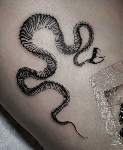 22 Top Snake Tattoo Ideas for the Ultimate Expression