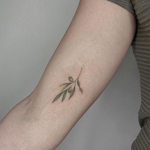 Top 20 Olive Tattoo Designs for : Embrace Peace with These Artistic Creations