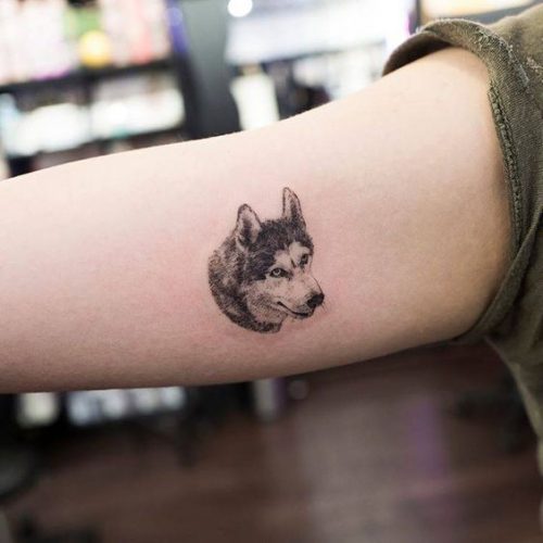 20 Husky Tattoo Ideas for
