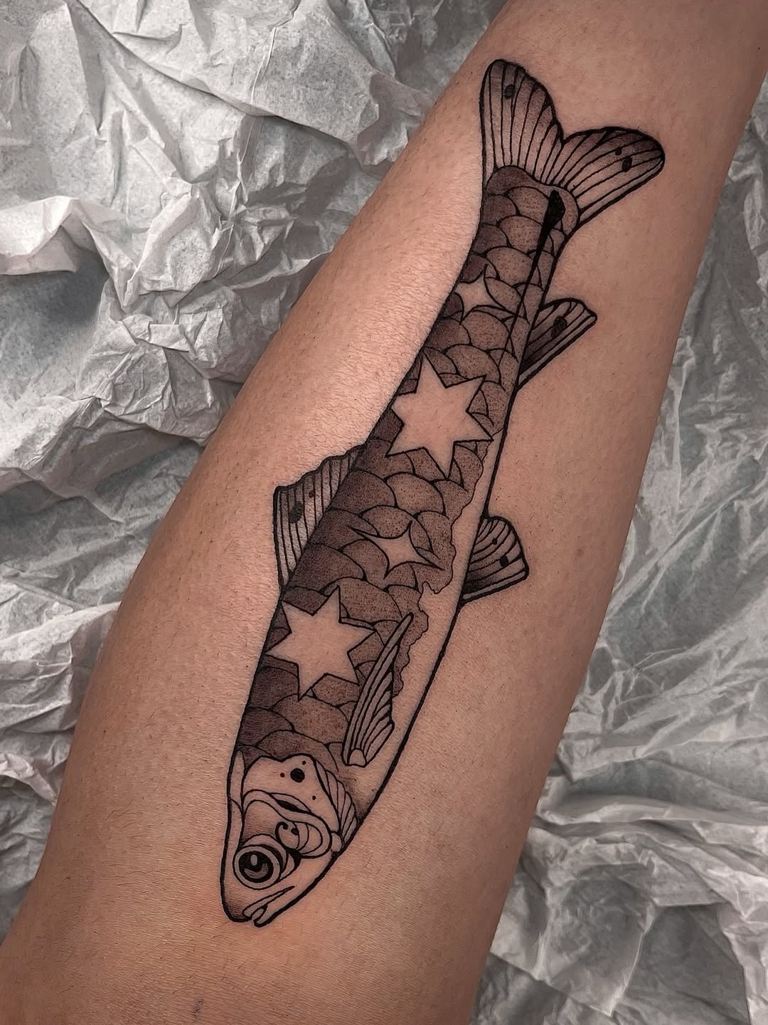 27 Fish Tattoo Designs With Meaning Koi, Minimalist, and Traditional Styles