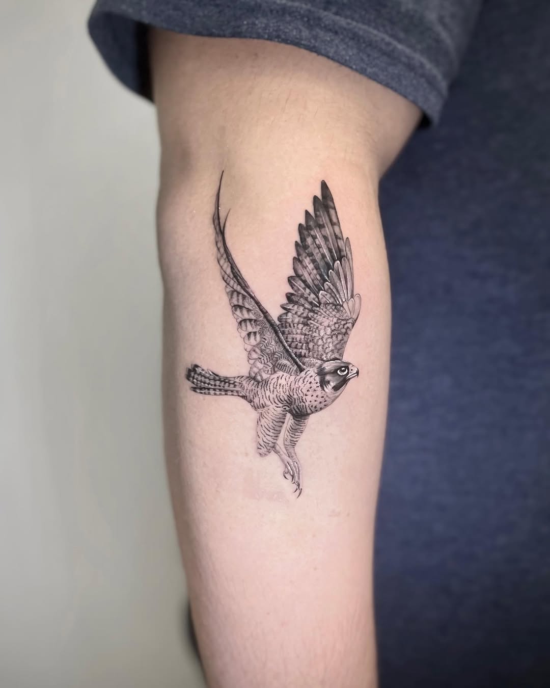 29 Hawk Tattoo Ideas: Bold Designs That Capture Power and Freedom