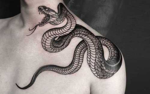 17 Explore Snake Tattoo Traditional Designs
