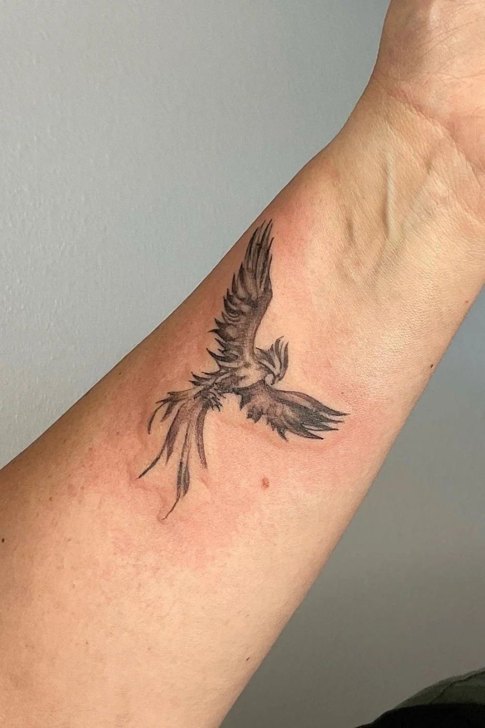 26 Fenix Tattoo Ideas for Men and Women: Feminine and Masculine Designs