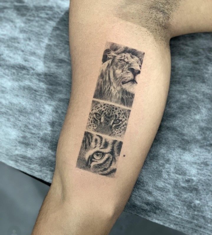 26 Iner Bicep Tattoo Ideas for Men and Ladies – Scheme from Top level Line, Authentication