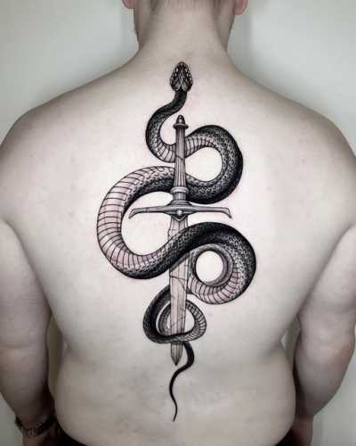 19 Snake Tattoos on Back Ideas for a Striking Look