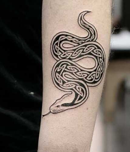 29 Snake Tattoo Design for Men Ideas