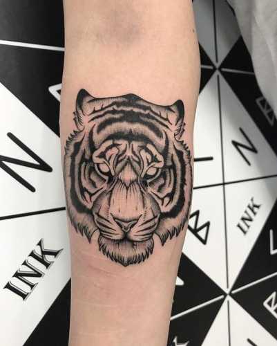 25 Tiger Tattoo on Arm Ideas