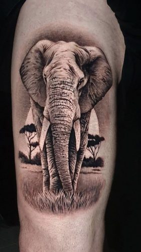 17 Elephant Tattoo Ideas on the Arm