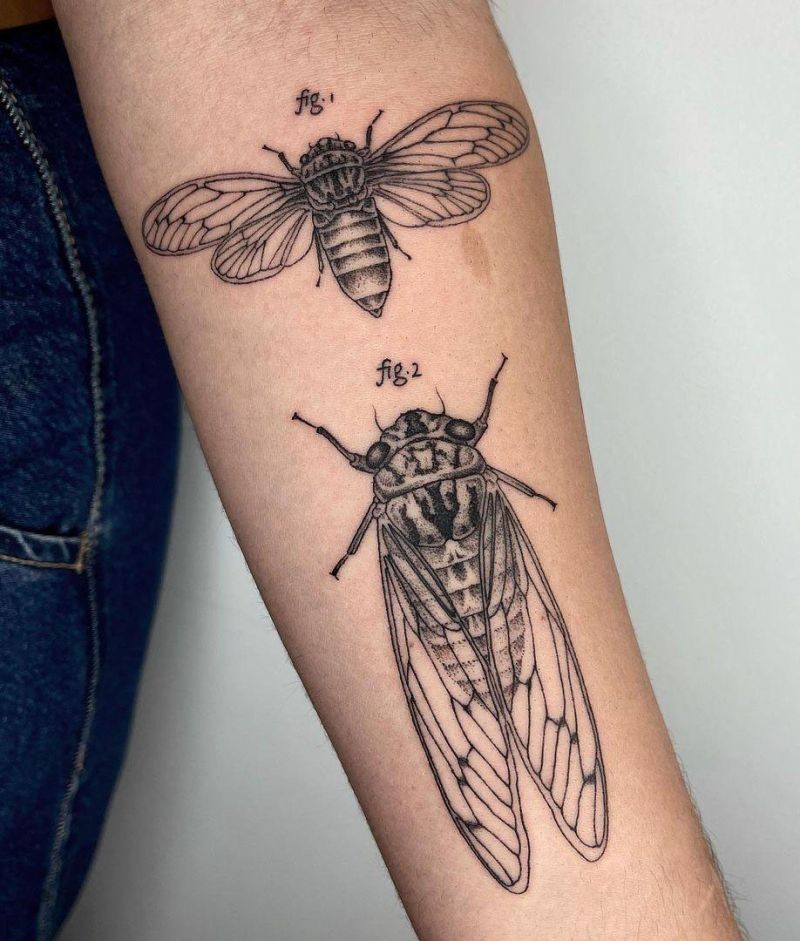29 Cicada Tattoo Ideas: From Simple Linework to Lush Color