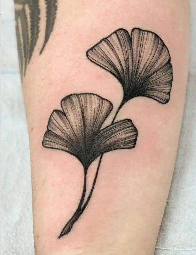 27 Leaf Tattoos Designs for Guys & Girls Fine line, Sleeve, Under breast & Autumn ink Concepts